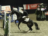 L-springen 201113_3218